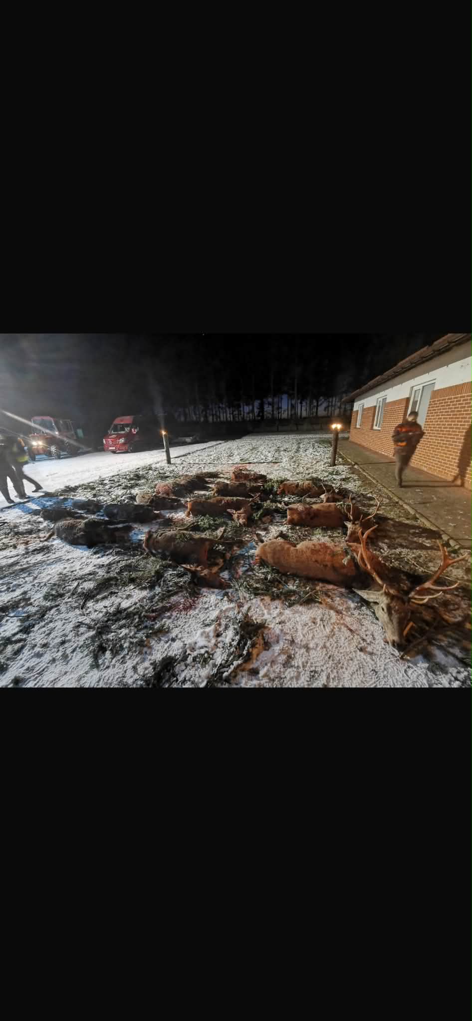 Drivjagt i Koszalin