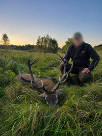 Kronhjortejagt nær Szprotawa for 3 personer i perioden 20-23 september